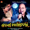 About Odhani Kholi Deli Song